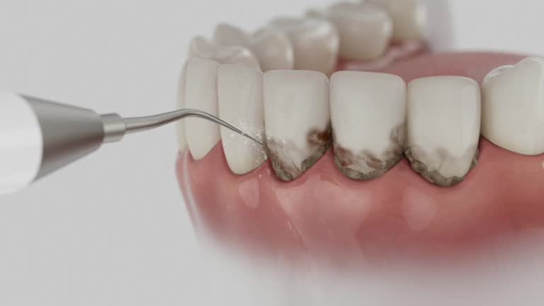 Reliable Dental contractor in North Chicago, IL by Dentist Open Now